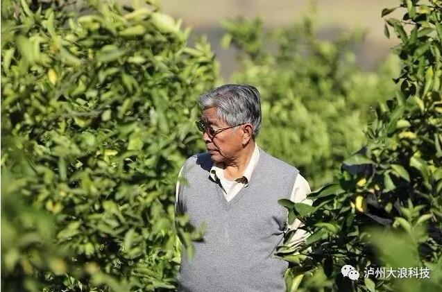 創(chuàng)業(yè)是一場馬拉松，你能堅持多久？